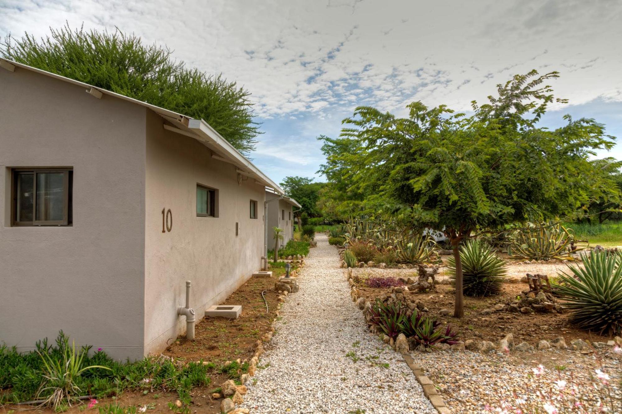 Khoi-Khoi Guesthouse Otavi Extérieur photo